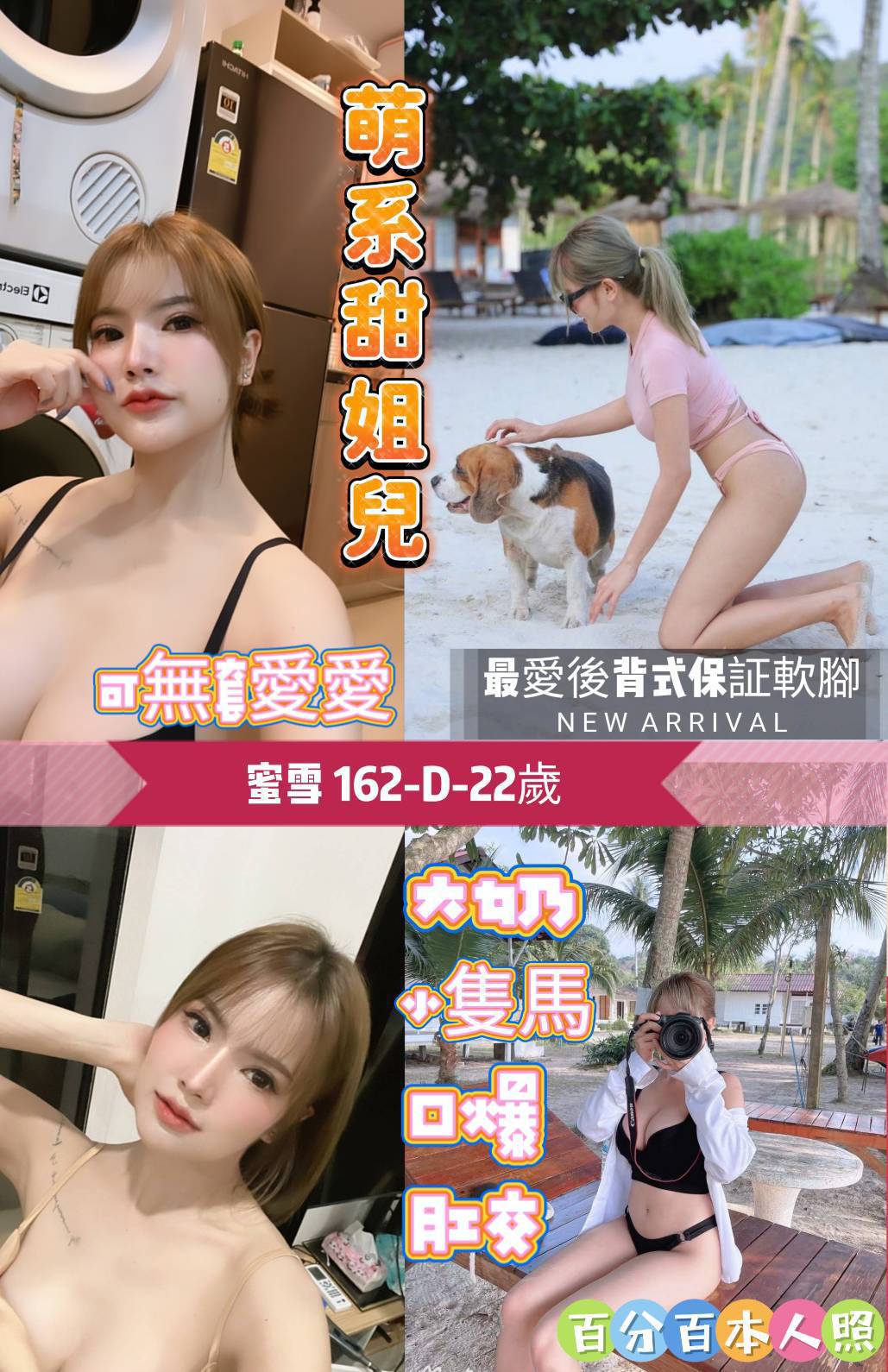 新北定點茶:蜜雪162/44/D 新北定點茶:蜜雪162/44/D