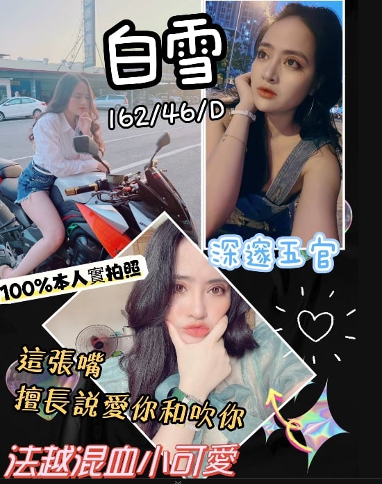 桃園定點茶:白雪162/46/D 桃園定點茶:白雪162/46/D