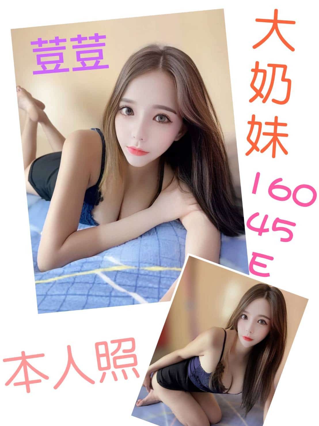 雲林定點茶:荳荳 160/45/E 雲林定點茶:荳荳 160/45/E