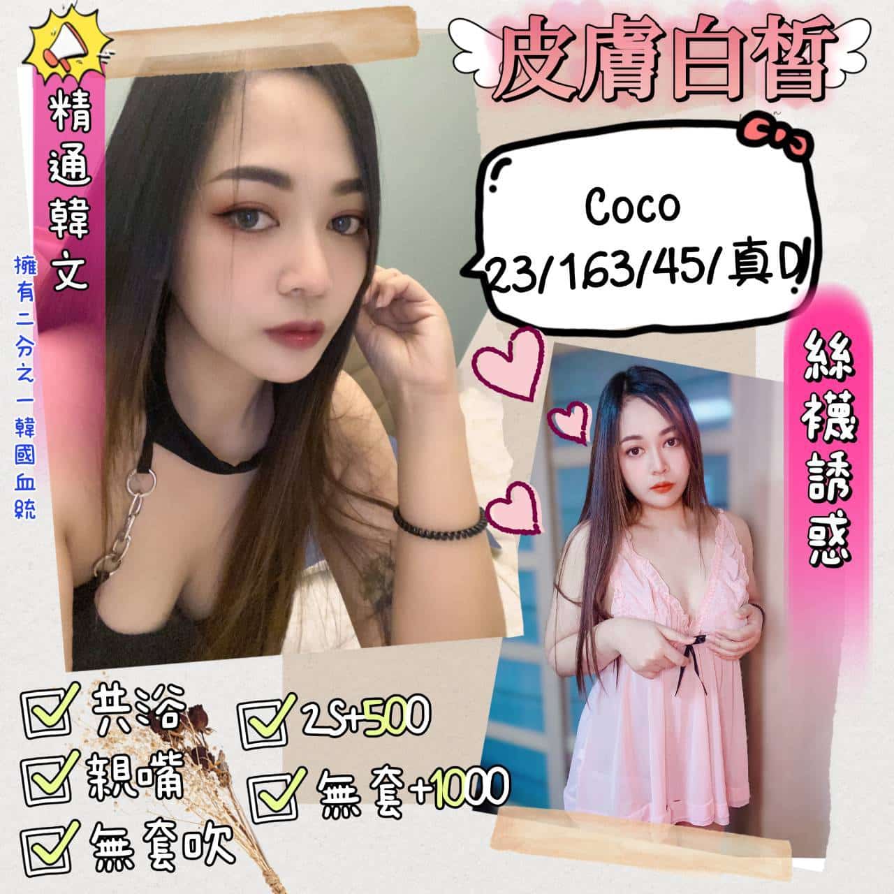 南投定點茶:Coco 163/45/D