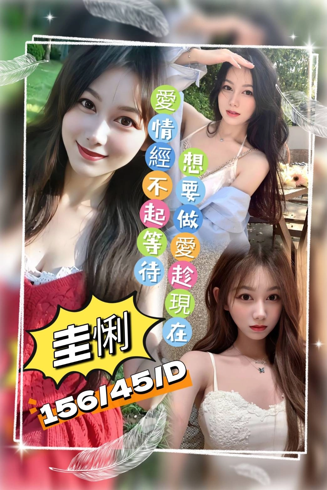 桃園定點茶-圭悧/156/45/?/D 桃園定點茶-圭悧/156/45/?/D