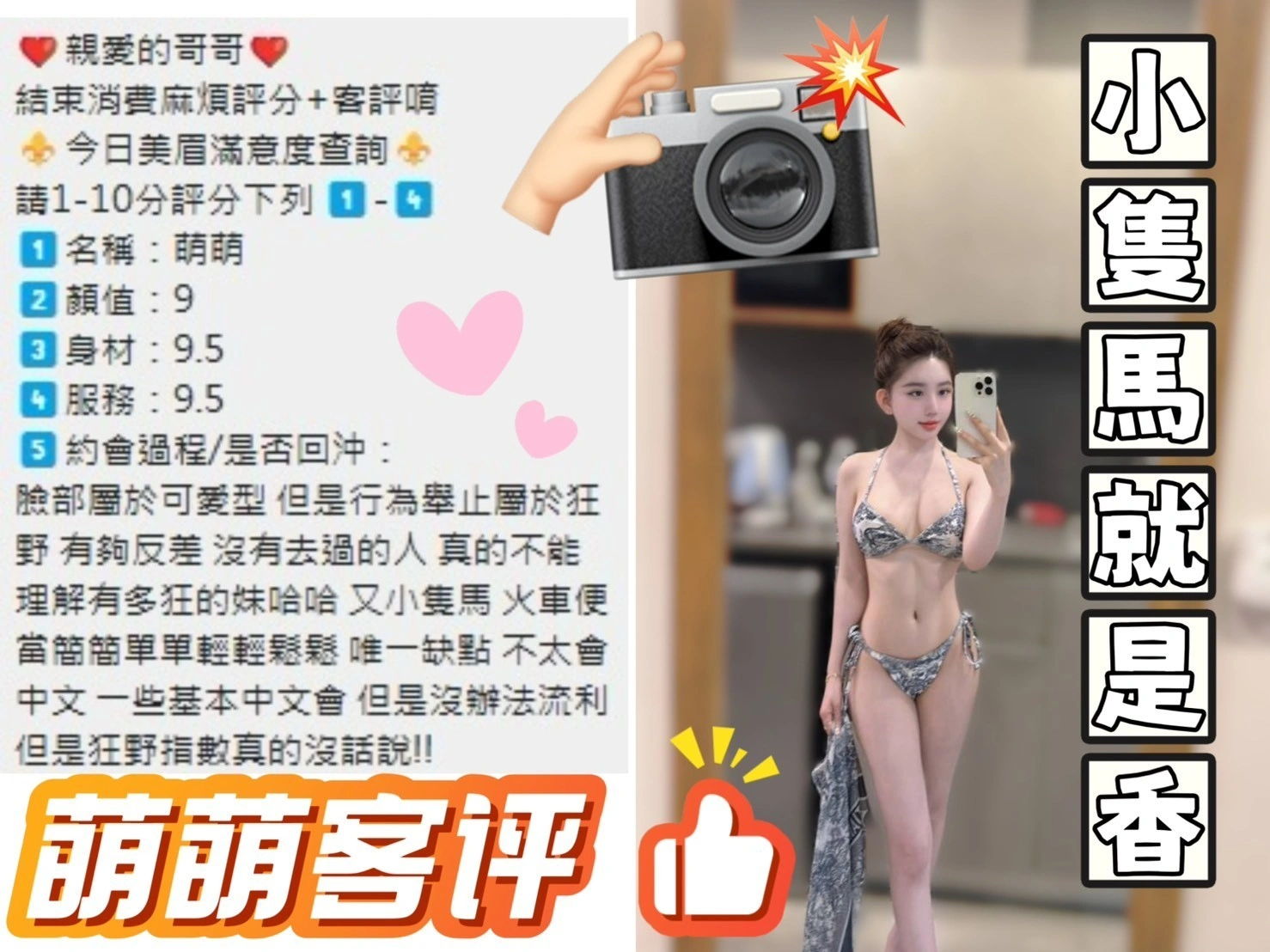 台中定點茶-萌萌/151/41/?/E