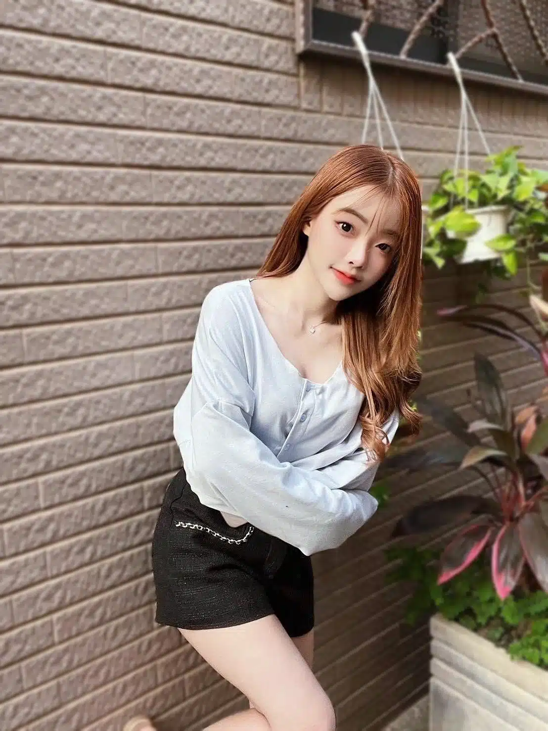 台北定點茶-楚楚/150/39/22/D