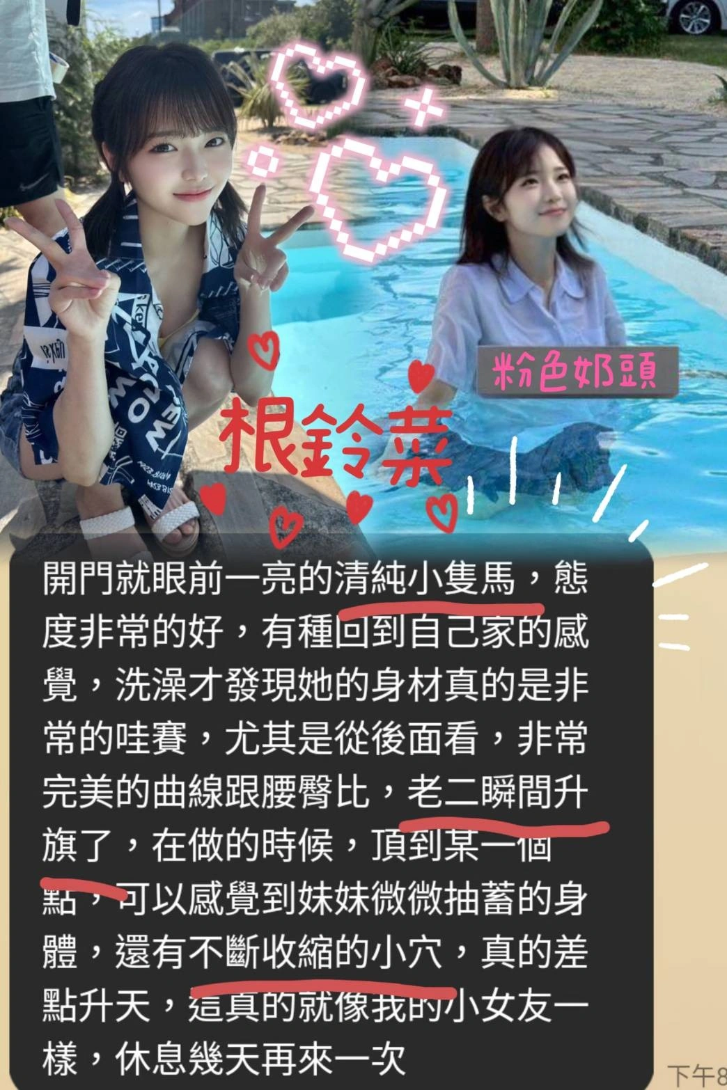 台南定點茶-根鈴菜/158/44/21/D