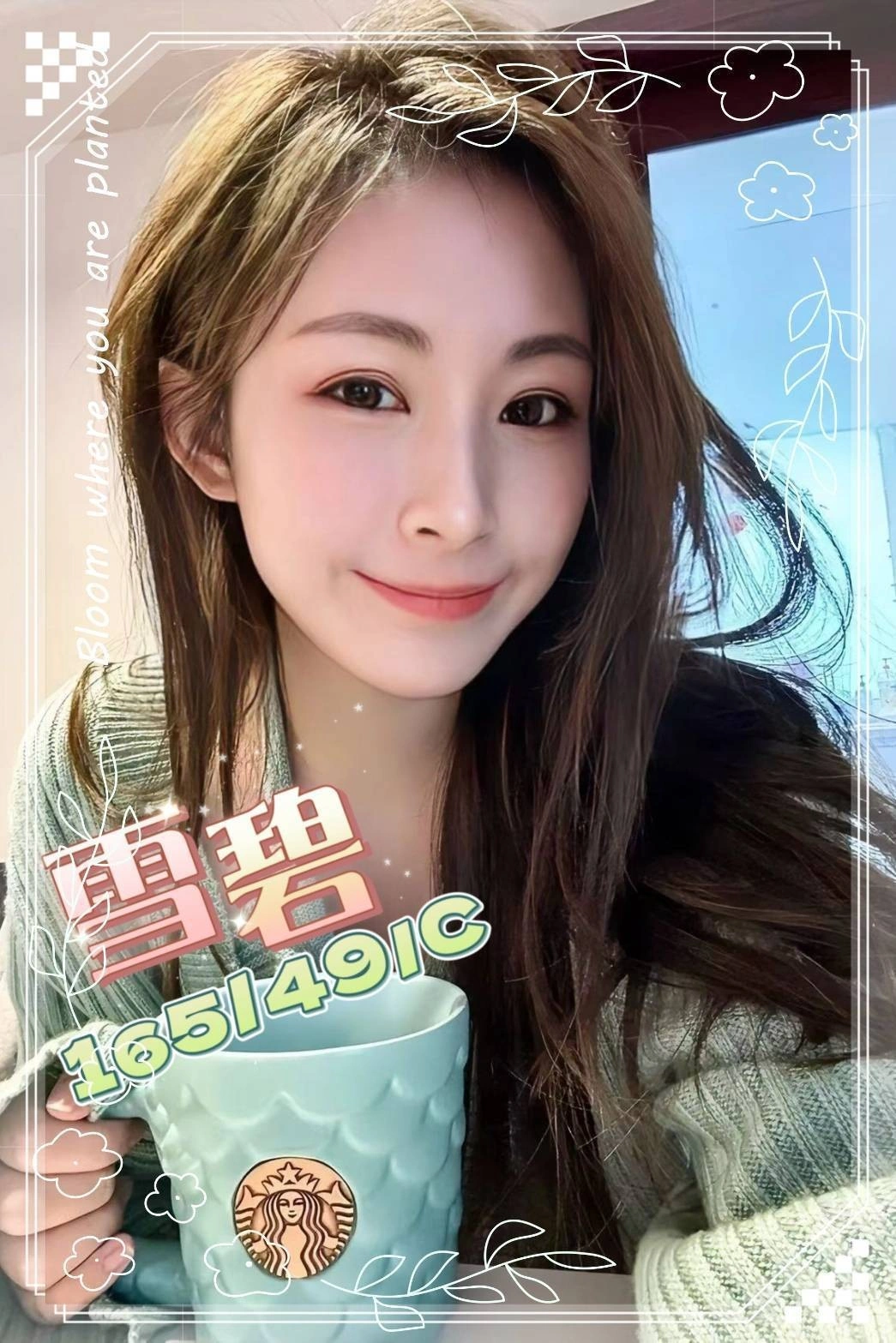 桃園定點茶-雪碧/165/49/?/C