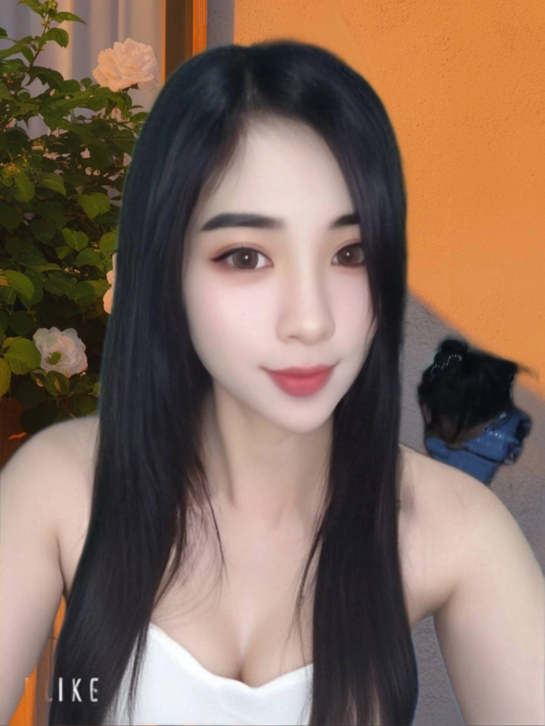 屏東定點茶,外送茶-甜甜圈/156/50/?/D