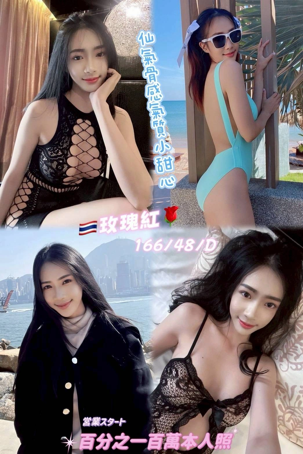 桃園定點茶-玫瑰紅/166/48/25/D 桃園定點茶-玫瑰紅/166/48/25/D