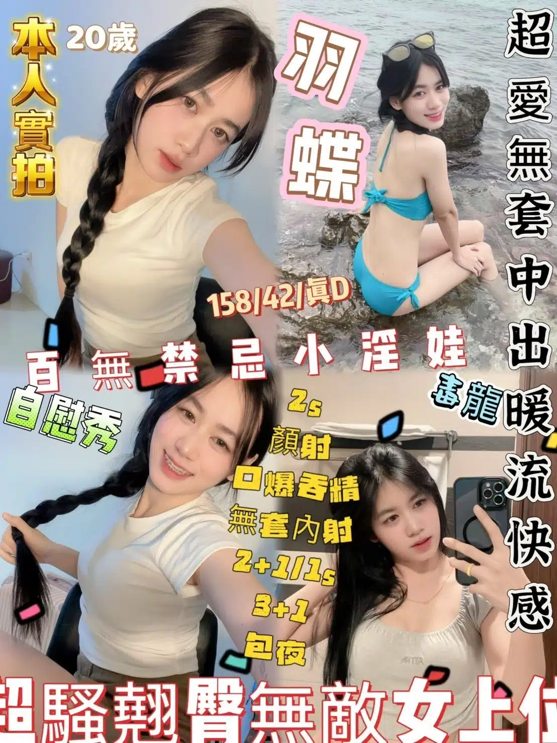 新竹定點茶-羽蝶/158/42/20/D 新竹定點茶-羽蝶/158/42/20/D