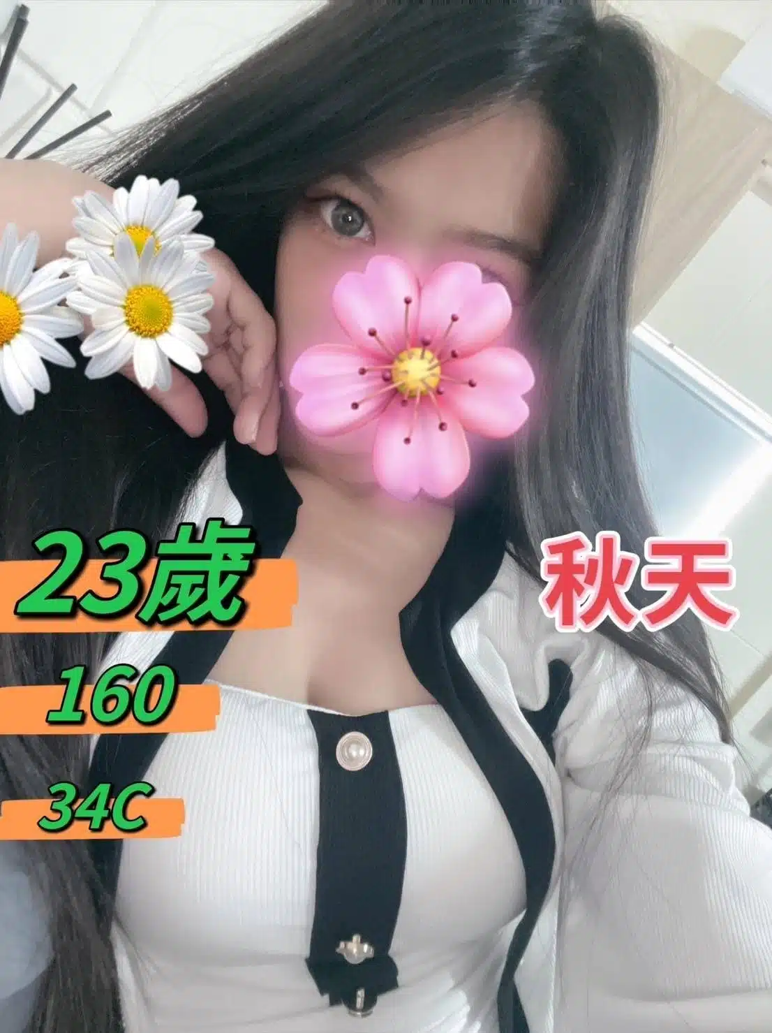 台中定點茶-秋天/160/?/23/C 台中定點茶-秋天/160/?/23/C