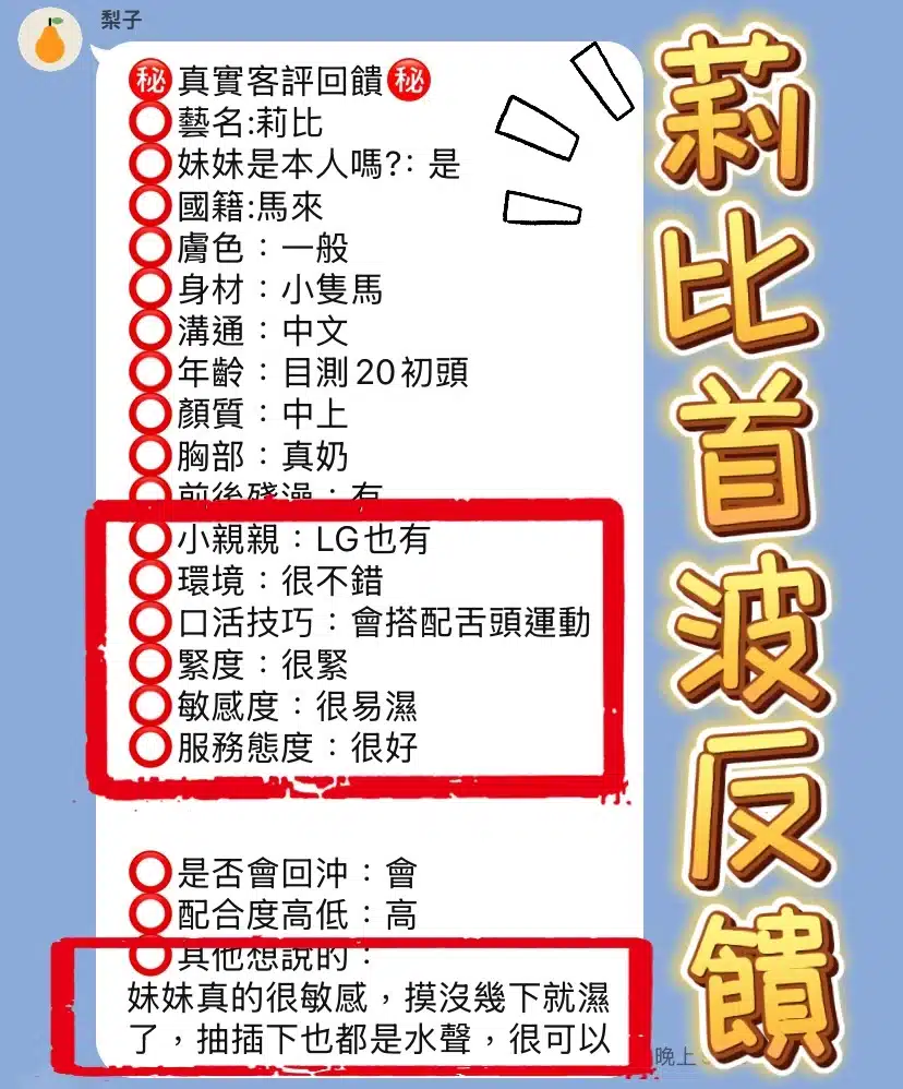 台中定點茶-莉比/153/42/20/C