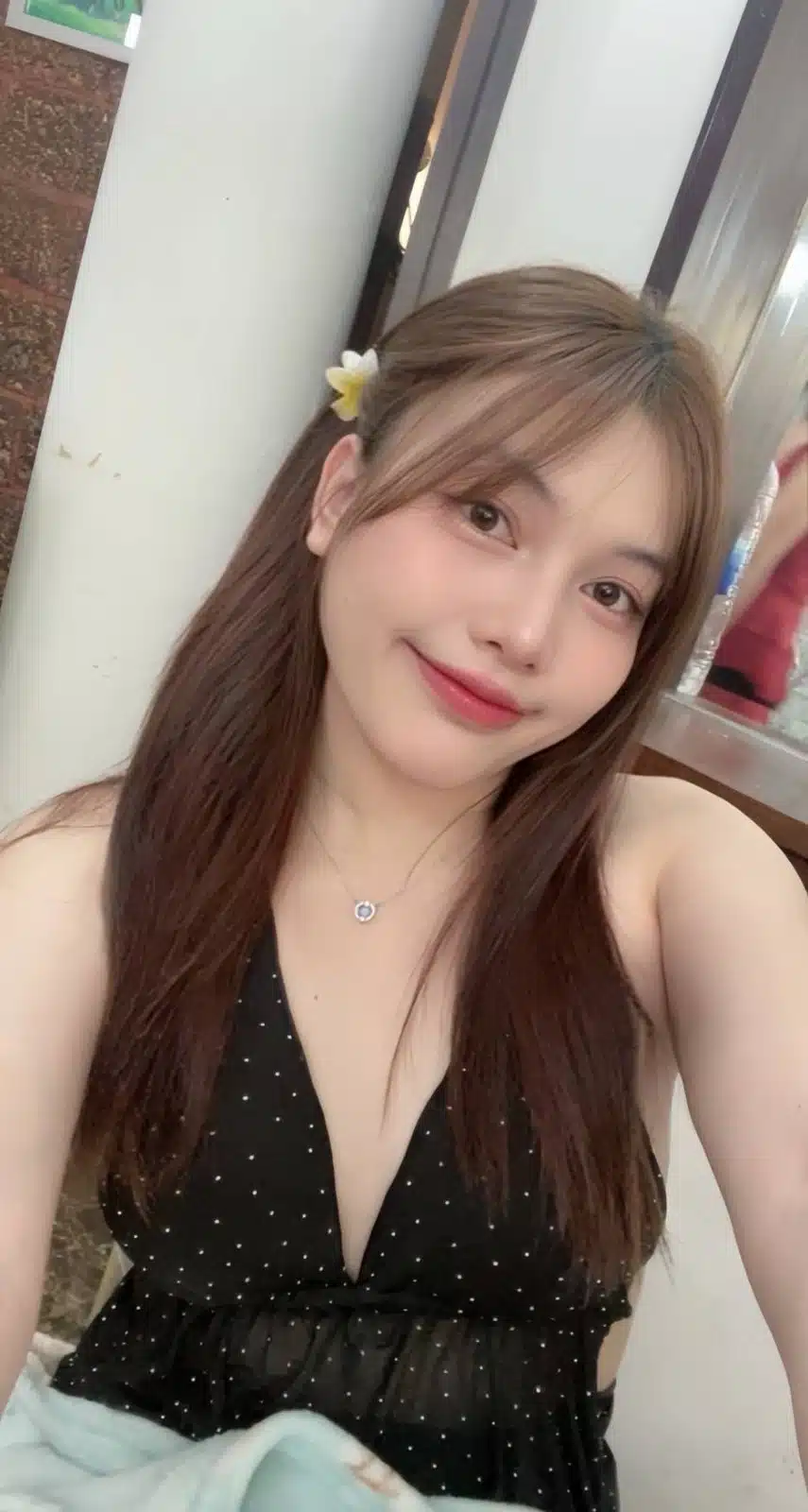 台北定點茶-滿婷/160/49/21/D